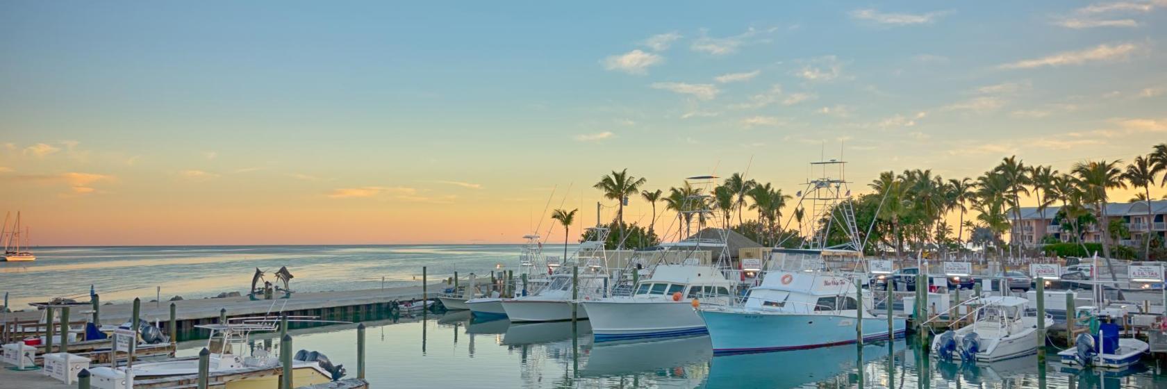 Upper Matecumbe Key