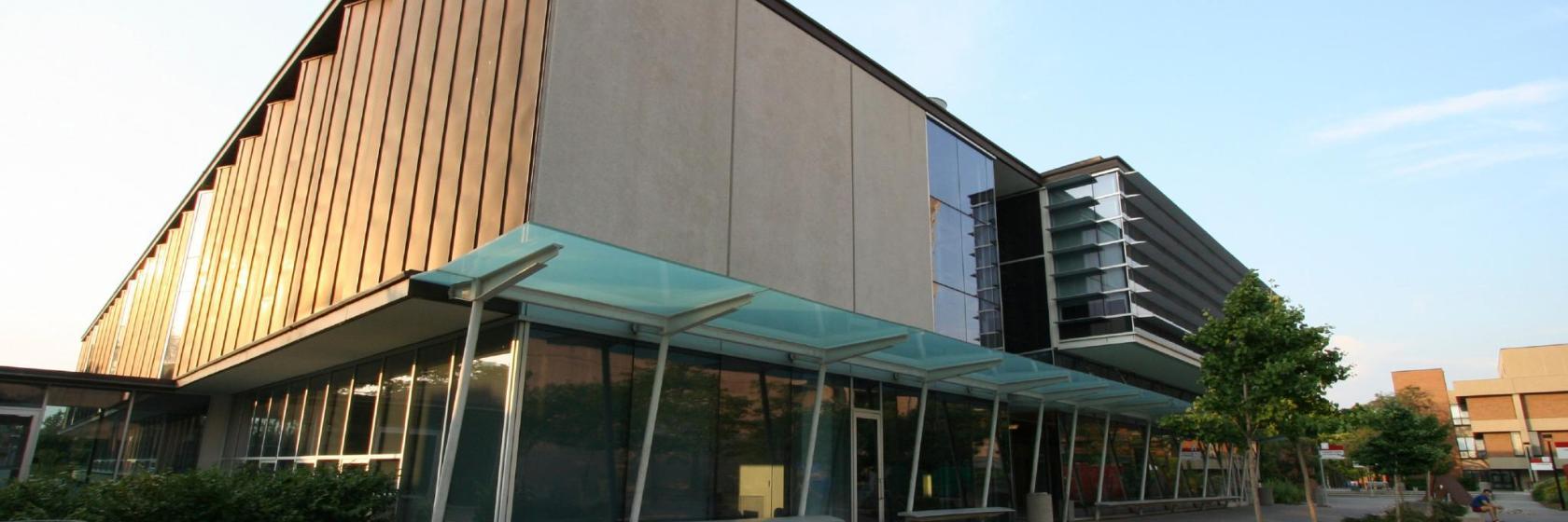 York University