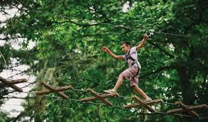 Go Ape Sherwood Pines
