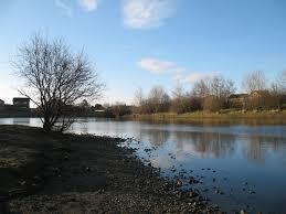 Rawcliffe Lake