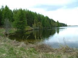 Loch Ashie