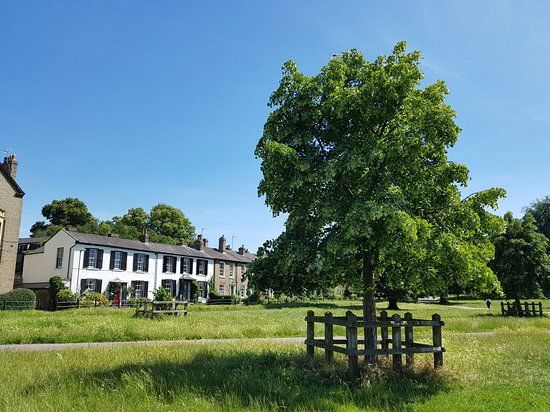 Midsummer Common