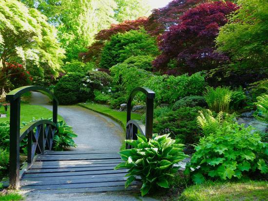 Johnston Gardens
