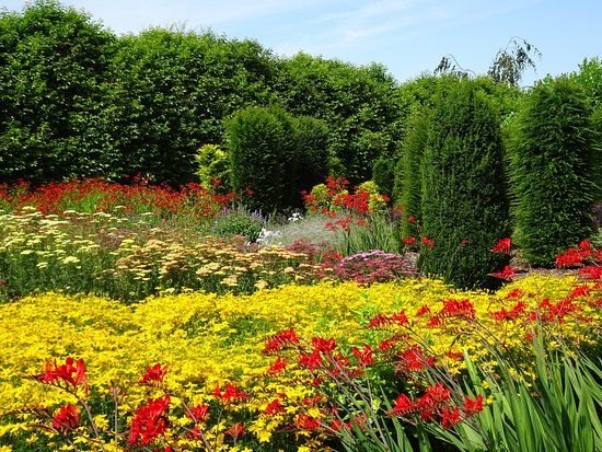 Breezy Knees Gardens and Nursery