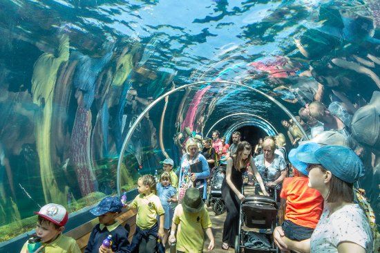 Colchester Zoo