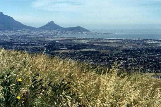 Tygerberg Nature Reserve