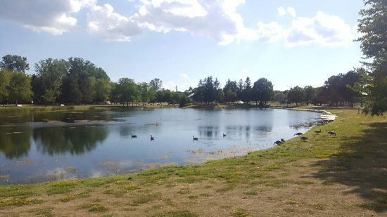 Andrew Haydon Park