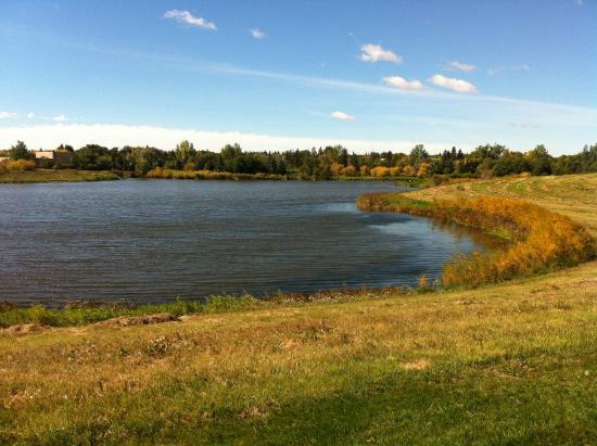 AE Wilson Park