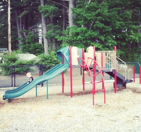 Pine Island Park